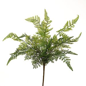 MAZZI E CADENTI VERDI