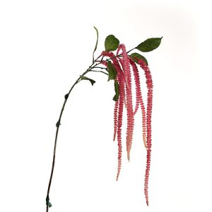 CADENTI E FESTONI FLOREALI