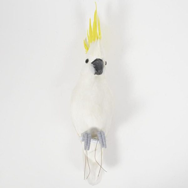 PAPPAGALLO 41X11X10 CM BIANCO DS PAPPAGALLO 41X11X10 CM BIANCO DS