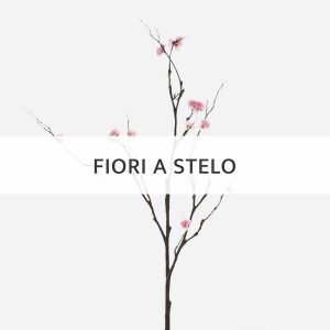 Promo Primavera Fiori