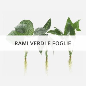 Promo Primavera Verdi