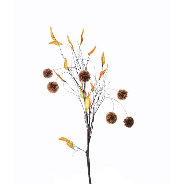 CASTAGNO RAMO CM.90 7FRMARRONE