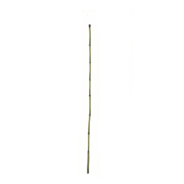 CANNA BAMBOO CM.90 NATURALE CANNA BAMBOO CM.90 NATURALE