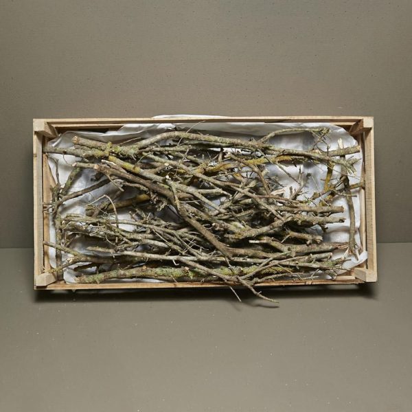 CASSETTA RETTANGOLARE 80X40 CM RAMETTO MUSCHIATO NATURALE CASSETTA RETTANGOLARE 80X40 CM RAMETTO MUSCHIATO NATURALE