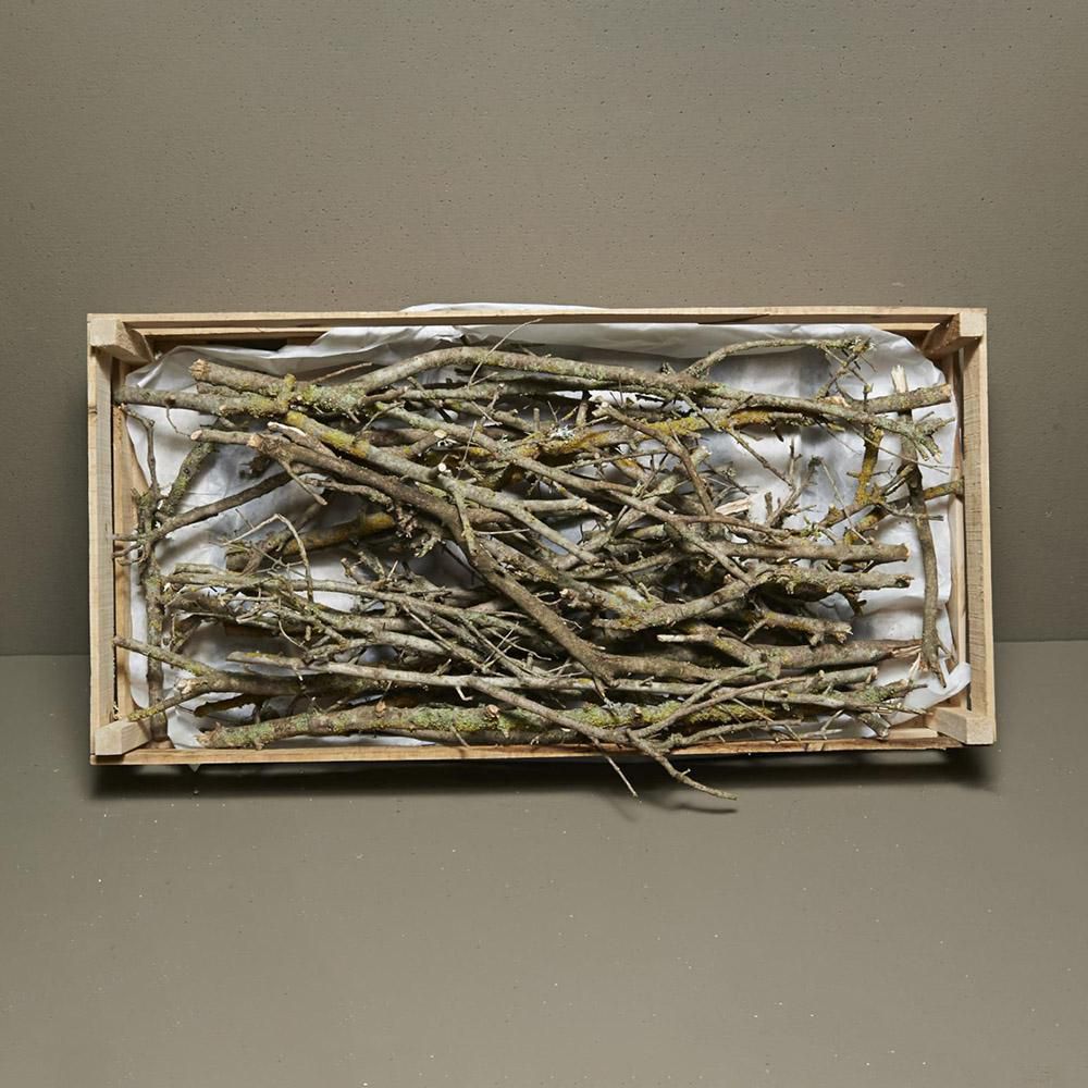 CASSETTA RETTANGOLARE 80X40 CM RAMETTO MUSCHIATO NATURALE