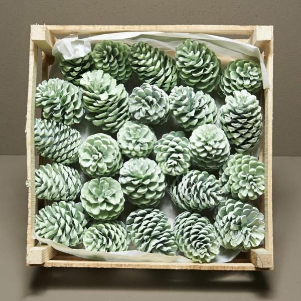 CASSETTA QUADRATA 37X37CM PINUS AUSTRIACA WAX MEDIA VERDE