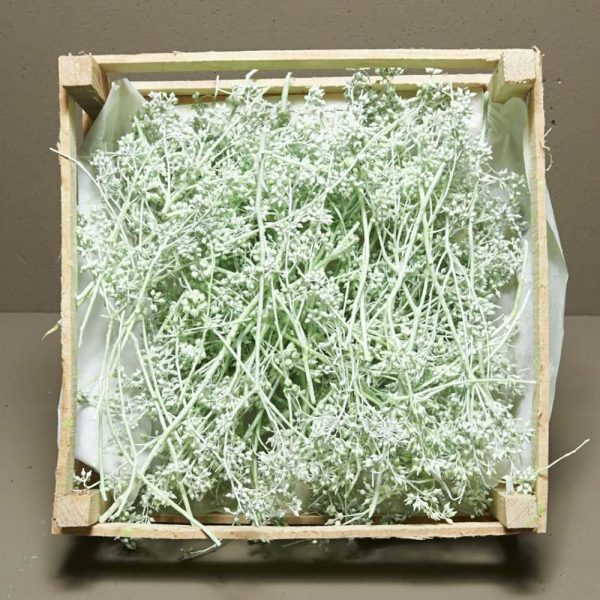 CASSETTA QUADRATA 38X38CM RAMETTO WAX VERDE CHIARO CASSETTA QUADRATA 38X38CM RAMETTO WAX VERDE CHIARO