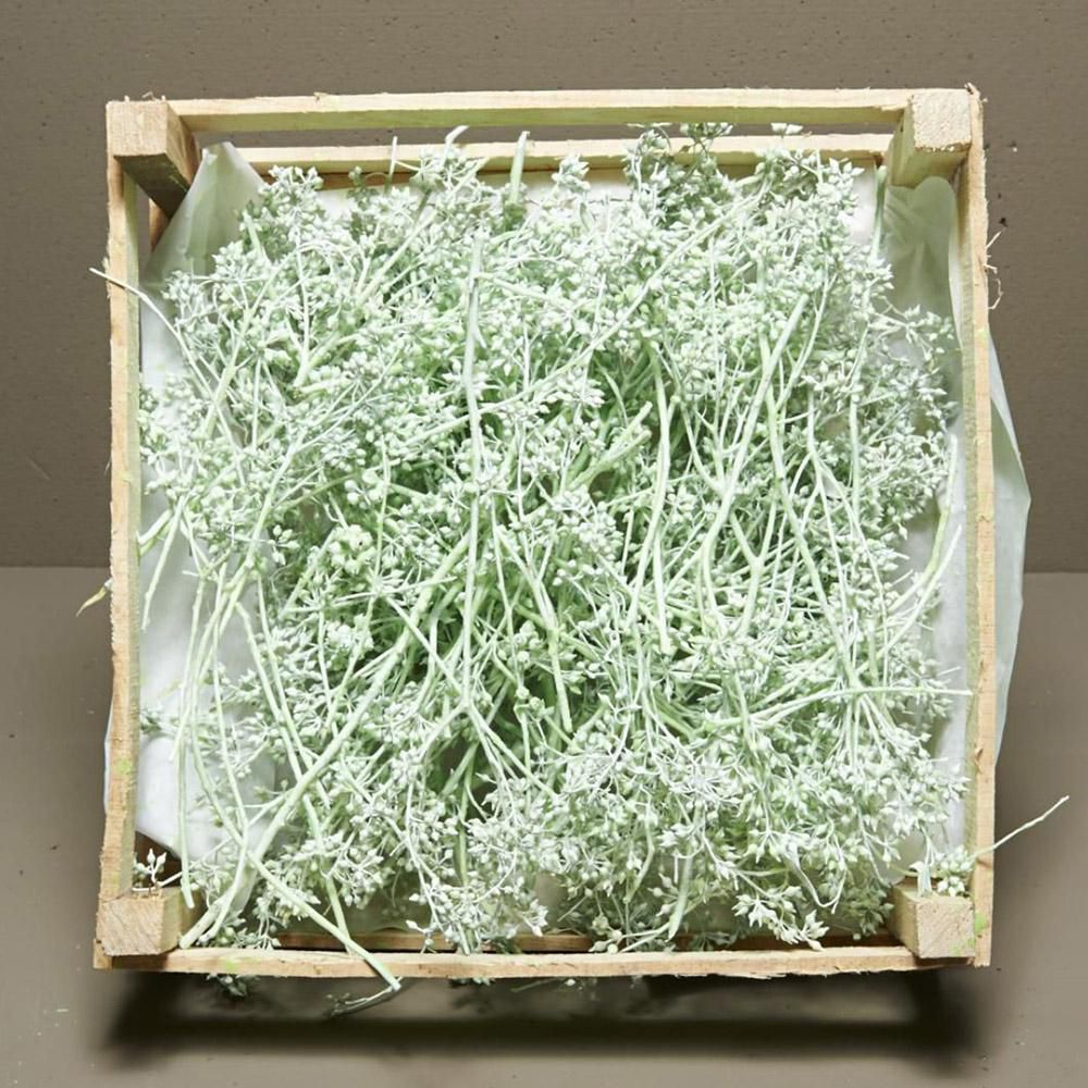 CASSETTA QUADRATA 38X38CM RAMETTO WAX VERDE CHIARO