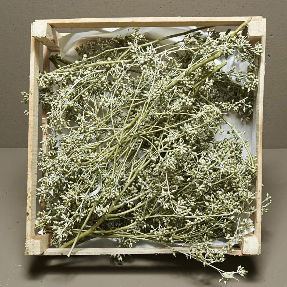 CASSETTA QUADRATA 38X38CM RAMETTO WAX VERDE