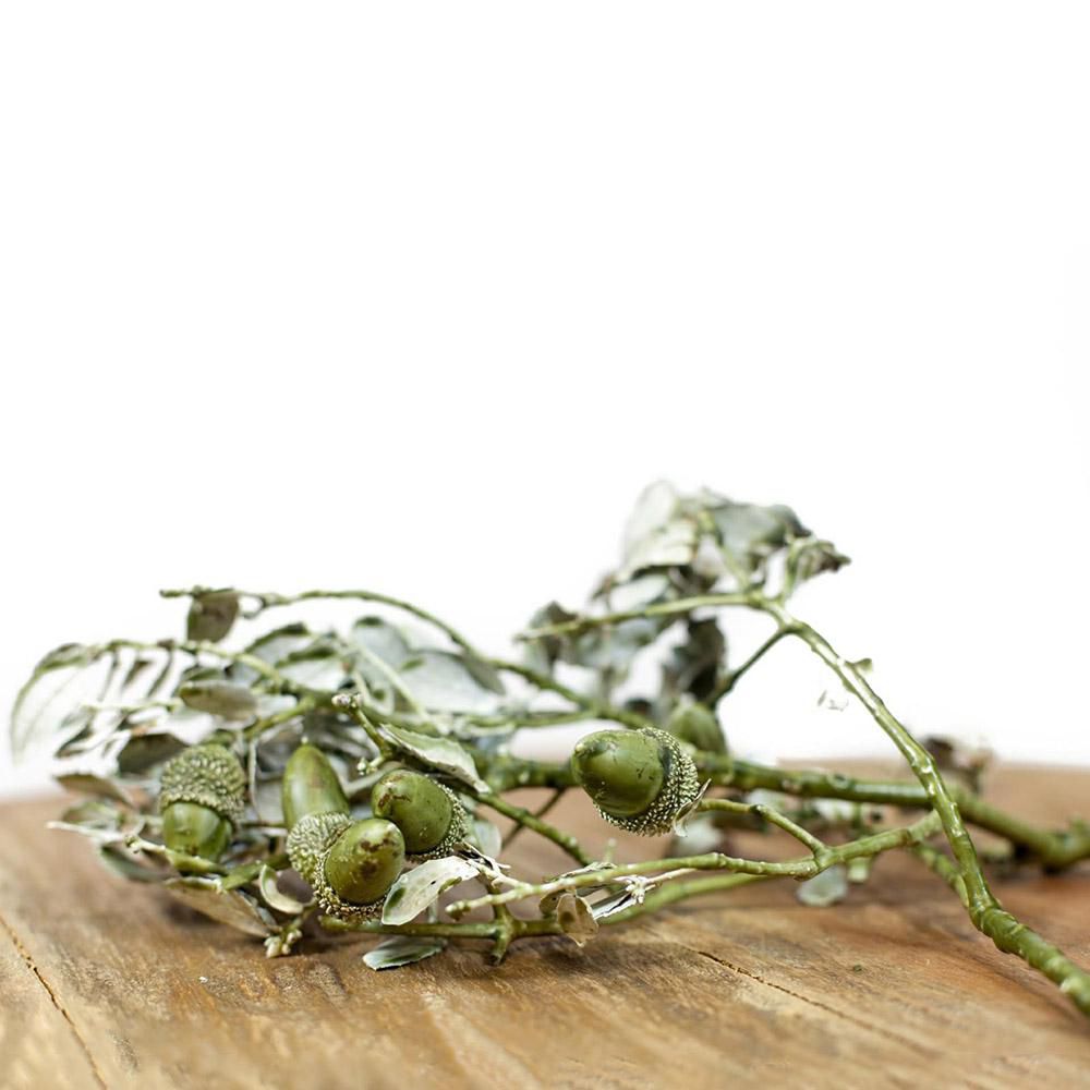 CASSETTA RETTANGOLARE 80X40 CM RAMETTO WAX GHIANDA VERDE ANTICO