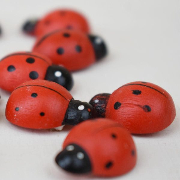 COCCINELLA LEGNO 1,80 CM PZ.72 C/BIADESIVO COCCINELLA LEGNO 1,80 CM PZ.72 C/BIADESIVO