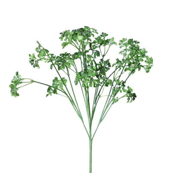 PREZZEMOLO BUSH 5F CM.38 VERDE PREZZEMOLO BUSH 5F CM.38 VERDE