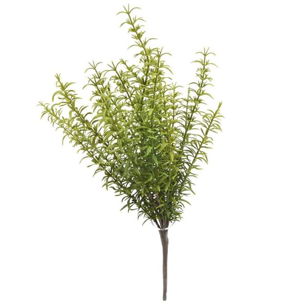 ROSMARINO BUSH X18 40CMDS ROSMARINO BUSH X18 40CMDS