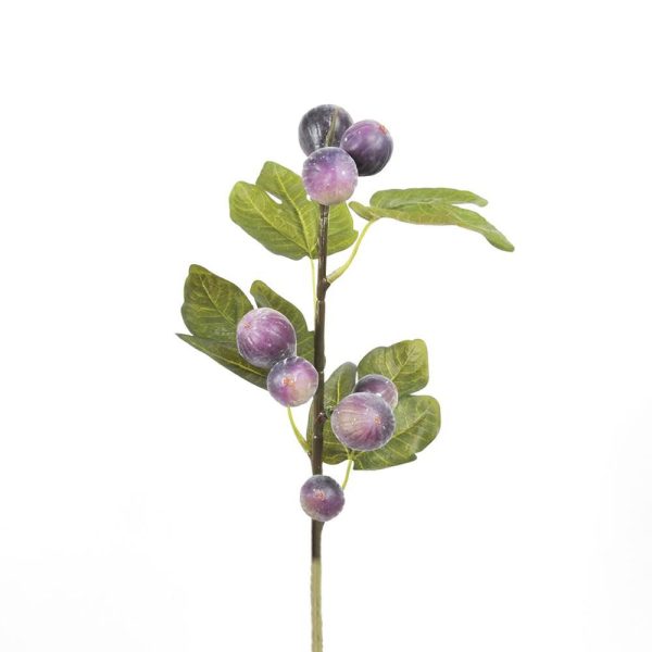 FICO RAMO 9F CM.68 VERDE/VIOLA FICO RAMO 9F CM.68 VERDE/VIOLA