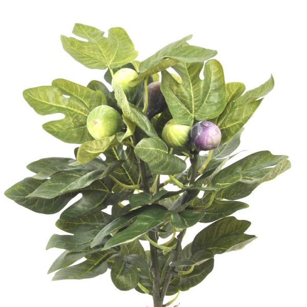 FICO RAMO 3X 7F VERDE FICO RAMO 3X 7F VERDE