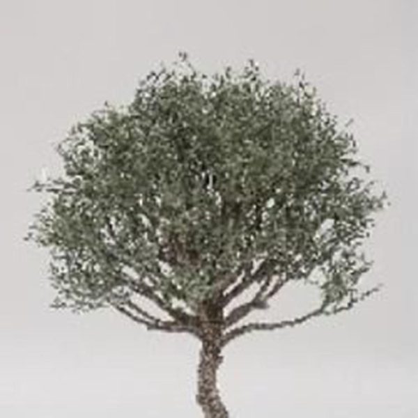 RAMO CM.35 VERDE RAMO CM.35 VERDE