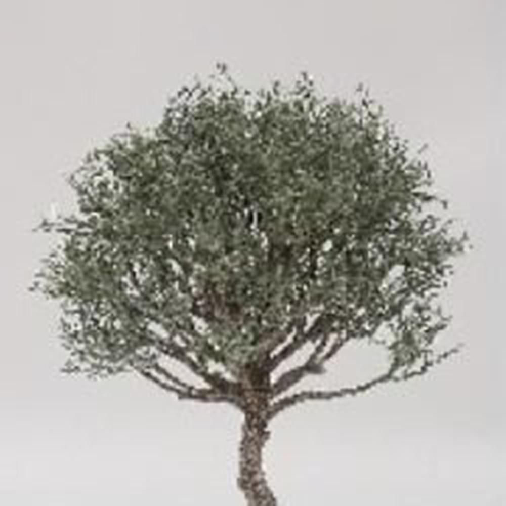 RAMO CM.35 VERDE RAMO CM.35 VERDE