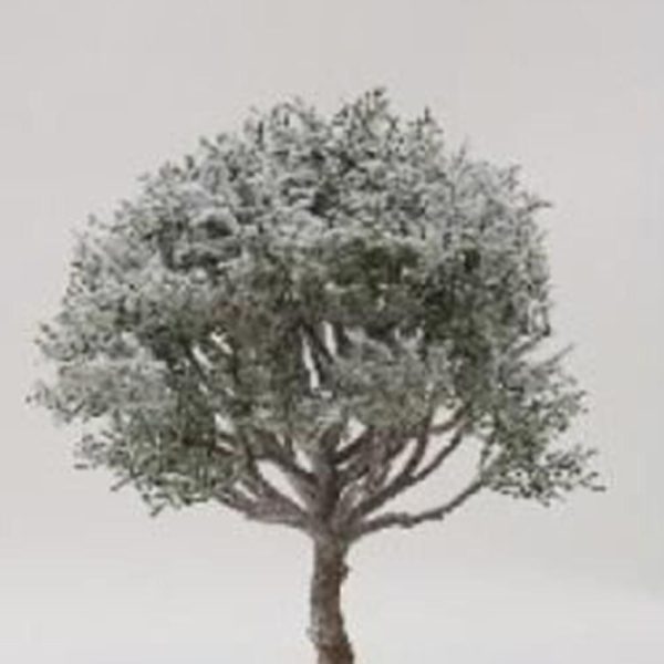 RAMO INNEVATO CM.38 VERDE SBIANCATO RAMO INNEVATO CM.38 VERDE SBIANCATO