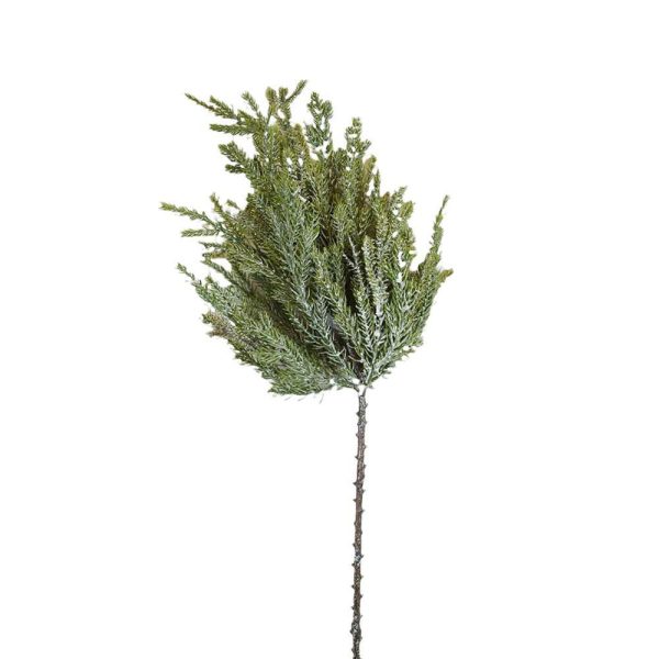 PALMA RAMO CM.75 VERDE PALMA RAMO CM.75 VERDE