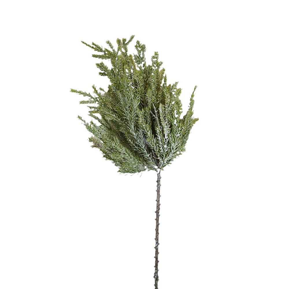 PALMA RAMO CM.75 VERDE PALMA RAMO CM.75 VERDE