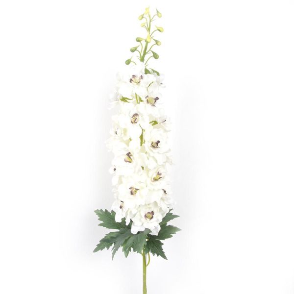 DELPHINIUM RAMO CM.95 BIANCO DELPHINIUM RAMO CM.95 BIANCO