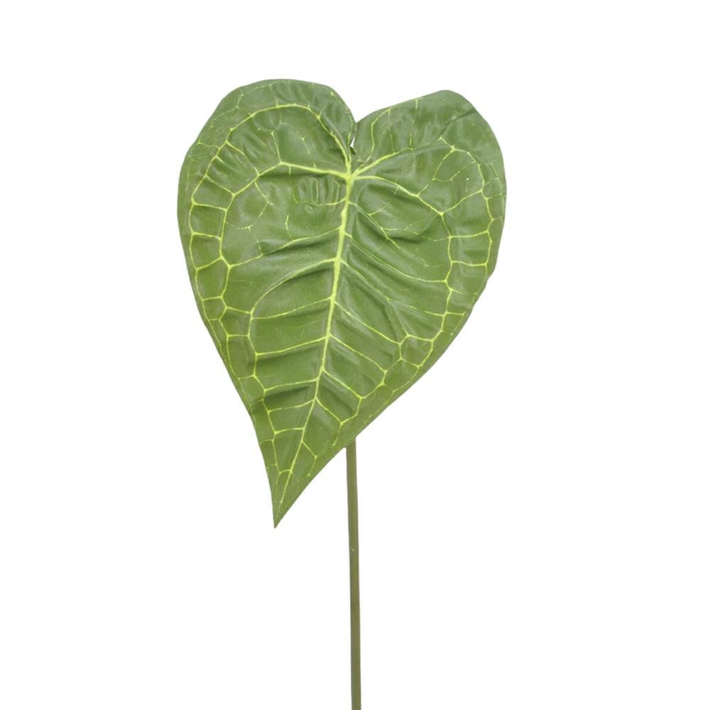 ALOCASIA FOGLIA CM.66 VERDE ALOCASIA FOGLIA CM.66 VERDE