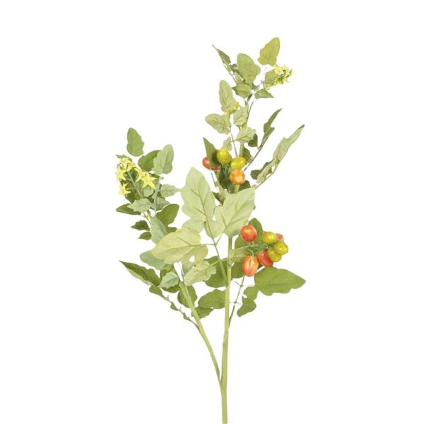 POMODORO RAMO CM.94 VERDE POMODORO RAMO CM.94 VERDE