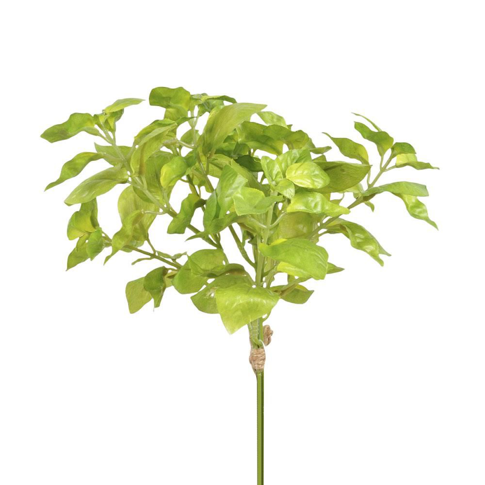 BASILICO BUSH CM.20 VERDE BASILICO BUSH CM.20 VERDE