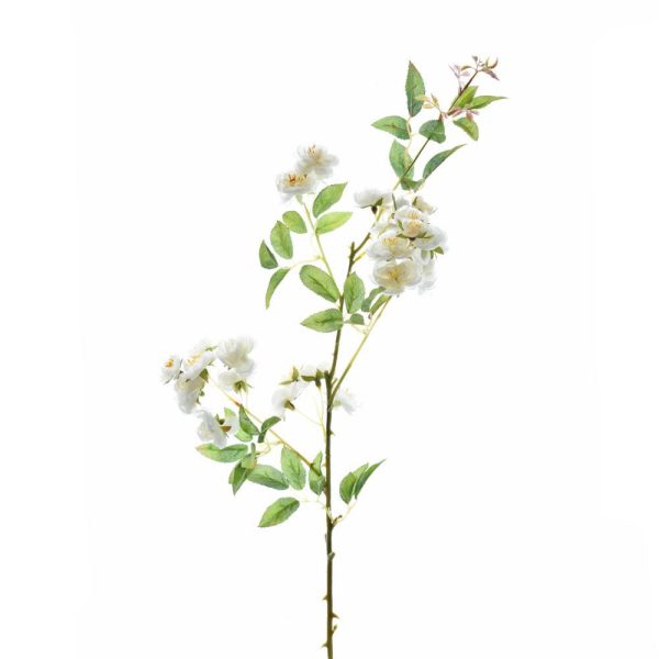 ROSA RAMO CM.83,5 CREMA ROSA RAMO CM.83,5 CREMA