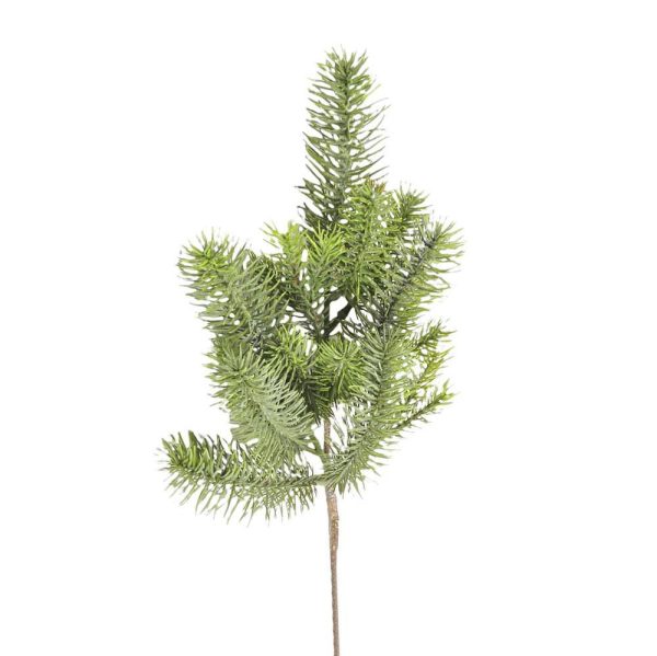 PINO RAMO CM.61 VERDE PINO RAMO CM.61 VERDE