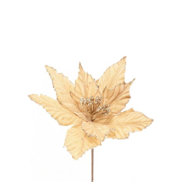 SET 6 POINSETTIA PICK VELLUTO CM.34 C/GLITTER CHAMPAGNE SET 6 POINSETTIA PICK VELLUTO CM.34 C/GLITTER CHAMPAGNE