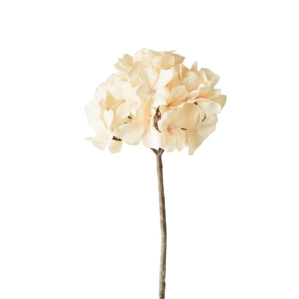 HYDRANGEA INNEVATA CM.46 PESCA HYDRANGEA INNEVATA CM.46 PESCA