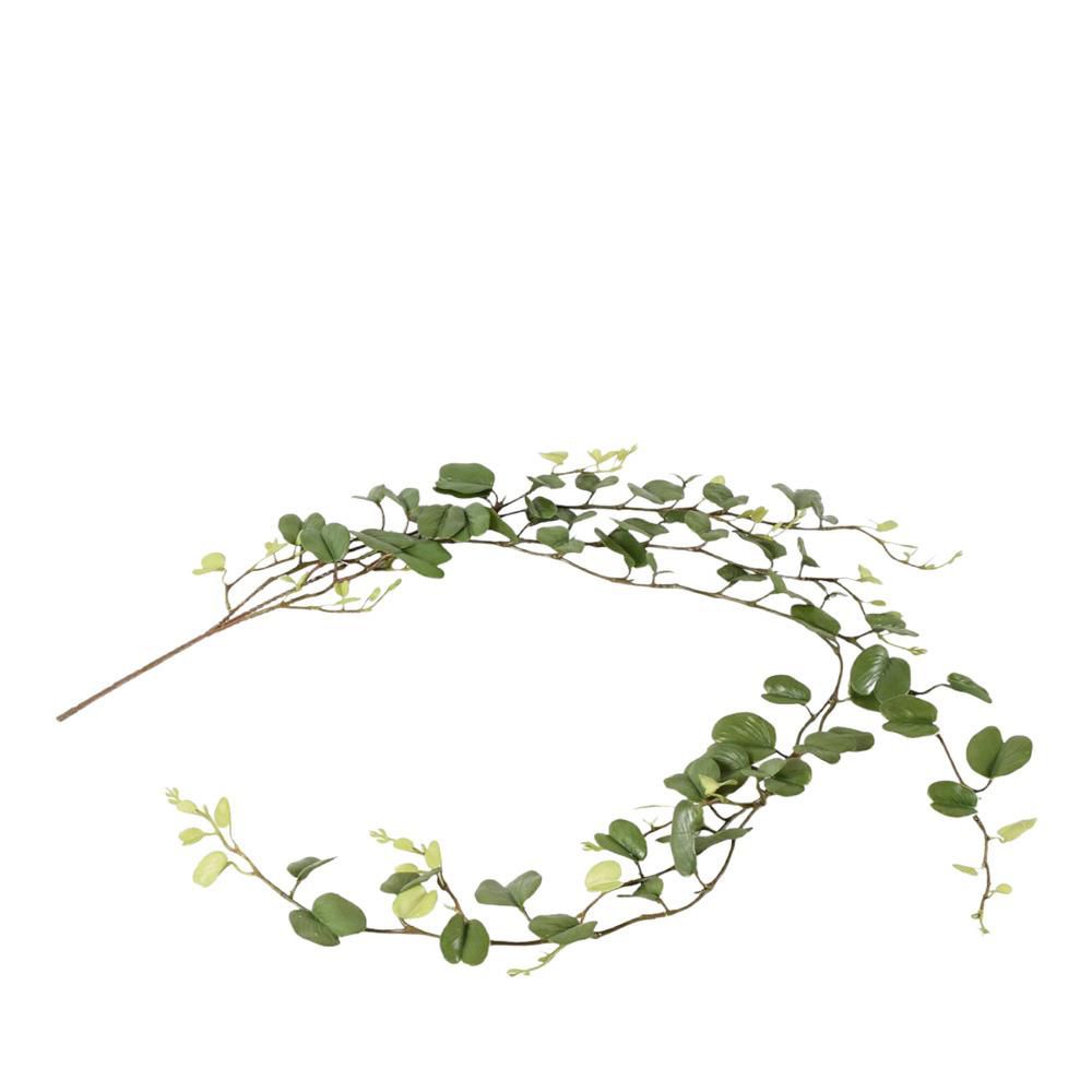 EDERA FESTONE CM.140 VERDE EDERA FESTONE CM.140 VERDE