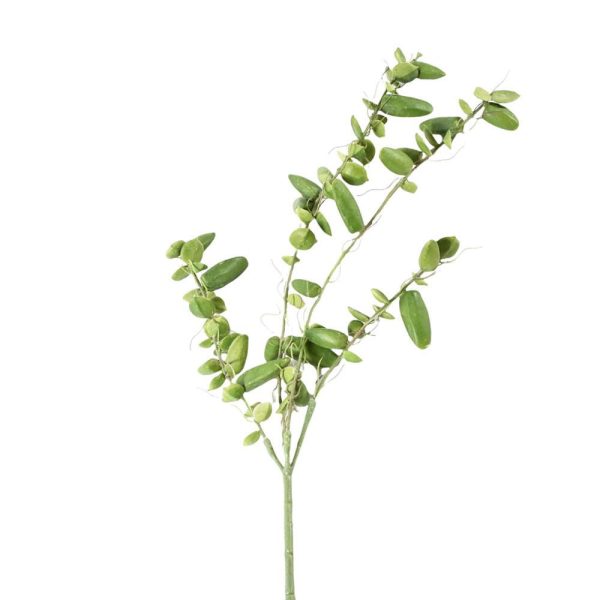 SUCCULENT 4X CM.61 VERDE SUCCULENT 4X CM.61 VERDE