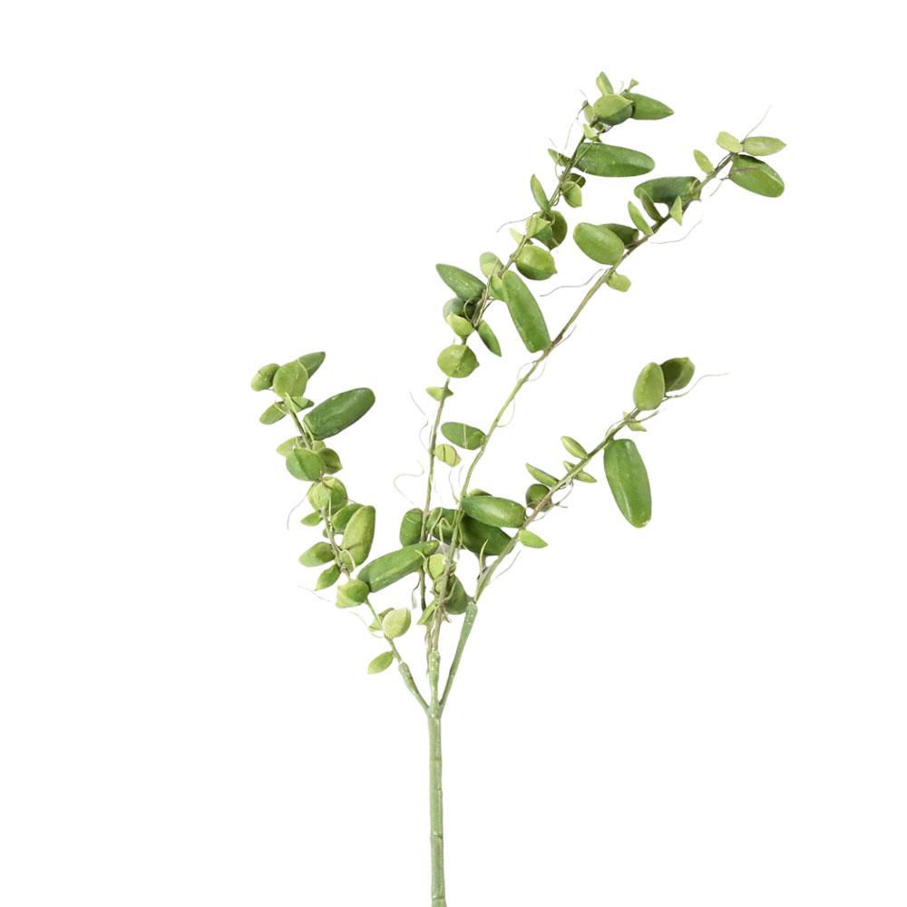 SUCCULENT 4X CM.61 VERDE SUCCULENT 4X CM.61 VERDE