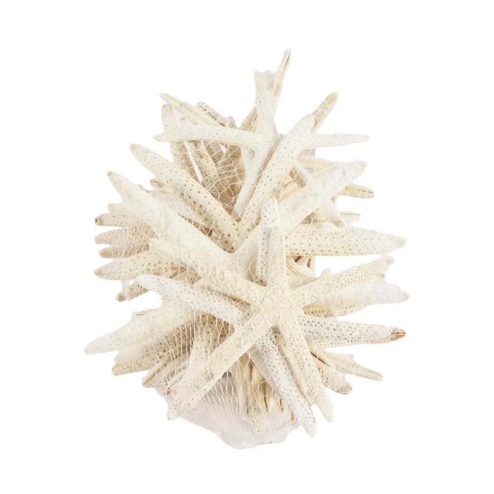 SET 2 STELLE DI MARE NATURALE CREMA