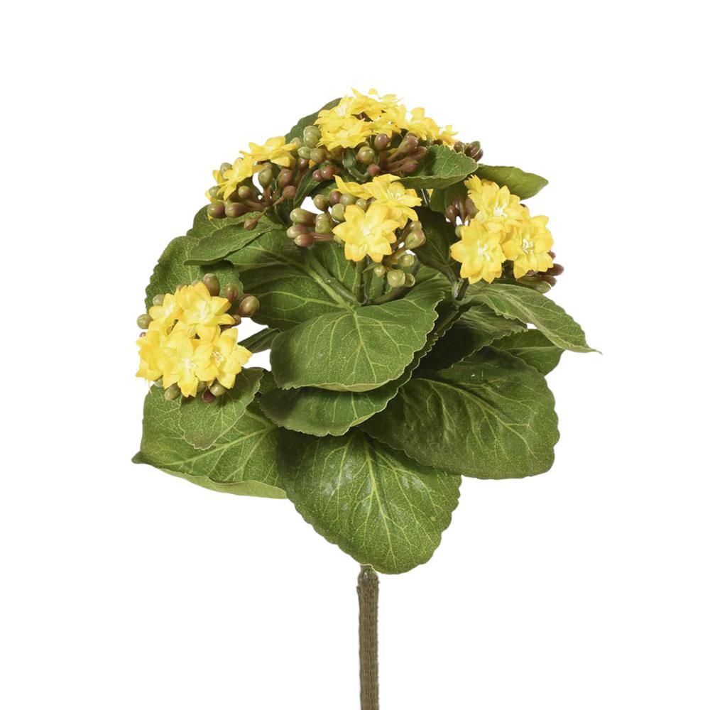 KALANCHOA BOUQUET CM.23GIALLO KALANCHOA BOUQUET CM.23GIALLO