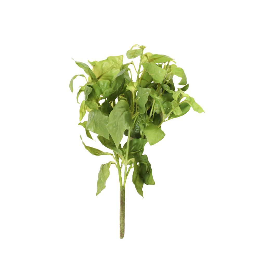 BASILICO BUSH CM.30 VERDE BASILICO BUSH CM.30 VERDE