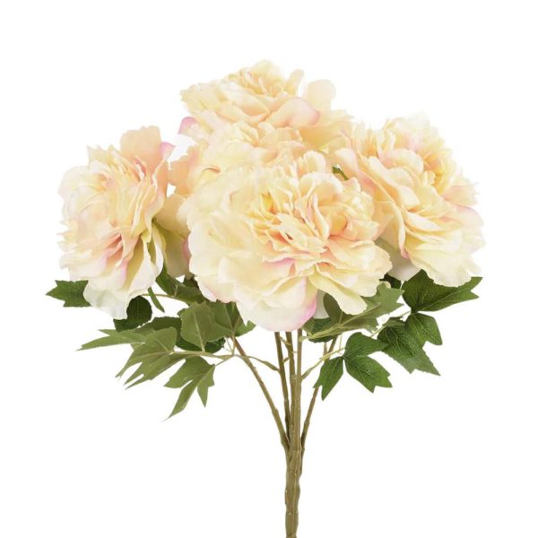 PEONIA BOUQUET 5F CM.46ROSA/GIALLO PEONIA BOUQUET 5F CM.46ROSA/GIALLO