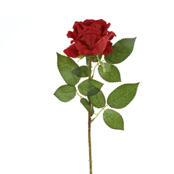 ROSA RAMO VELLUTO CM.77ROSSO ROSA RAMO VELLUTO CM.77ROSSO