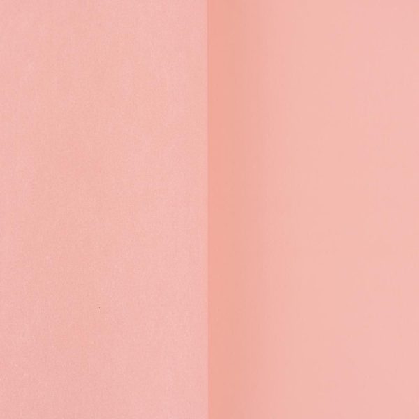 BOBINA PPL ACCOPPIATA C/VELINA CM 100X25 MT ROSA BOBINA PPL ACCOPPIATA C/VELINA CM 100X25 MT ROSA