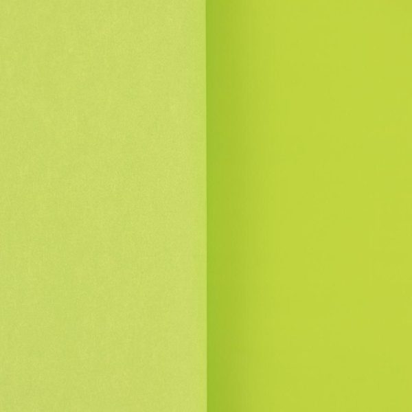 BOBINA PPL ACCOPPIATA C/VELINA CM 100X25 MT VERDE MELA BOBINA PPL ACCOPPIATA C/VELINA CM 100X25 MT VERDE MELA