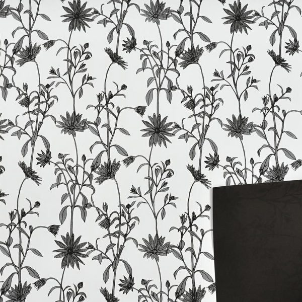 BOBINA PPL -CHANTILLY- CM 100X25 MT BIANCO/NERO