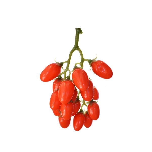 CILIEGINO GRAPPOLO ROSSO CILIEGINO GRAPPOLO ROSSO