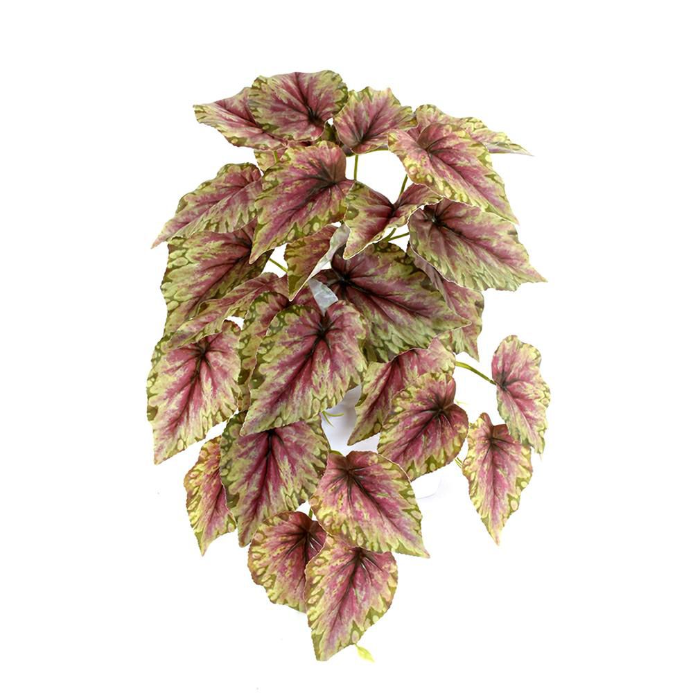 BEGONIA BUSH CADENTE CM.45 VERDE/ROSSO