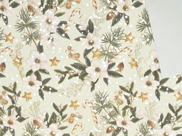 BOBINA PPL -CANDY CANE-CM 100X25 MT VERDE GHIACCIO BOBINA PPL -CANDY CANE-CM 100X25 MT VERDE GHIACCIO