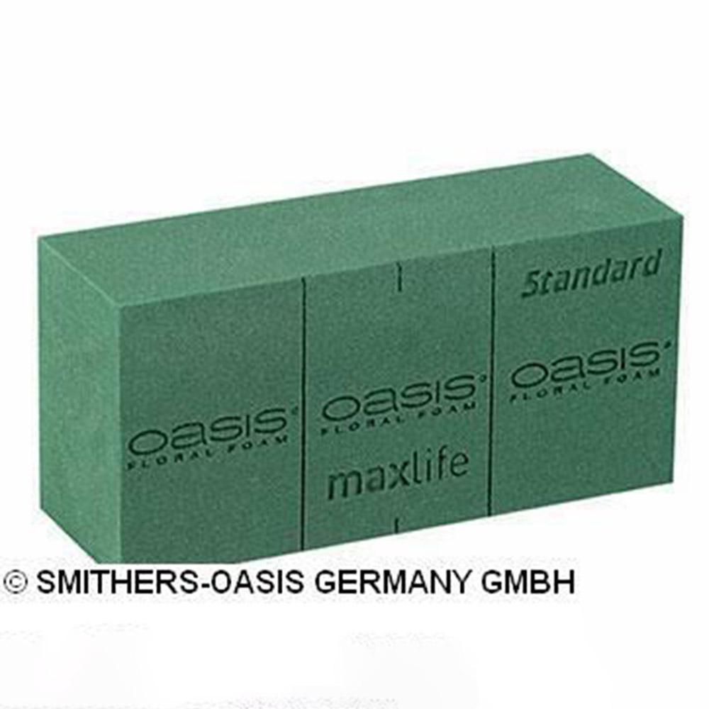 SCATOLA SPUGNA OASIS STANDARD CONF.PZ.35