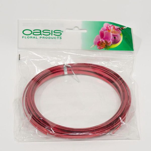 FILO ORNAMENTALE PIATTOD.0,1 CM CONF.GR.100 ROSSO FILO ORNAMENTALE PIATTOD.0,1 CM CONF.GR.100 ROSSO