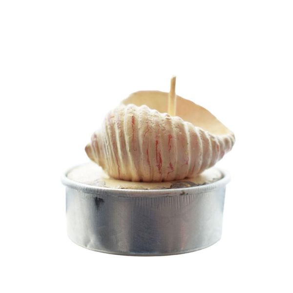 TEALIGHT CONCHIGLIA PZ613,5X9X5 BIANCO TEALIGHT CONCHIGLIA PZ613,5X9X5 BIANCO