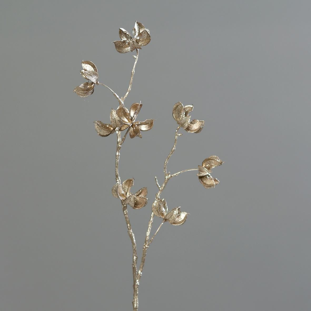 COTONE RAMO CM.54 PLATINO